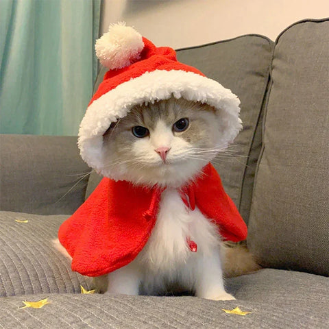 Christmas Cat & Dog Costume - Red Cloak with Hat, Warm & Funny