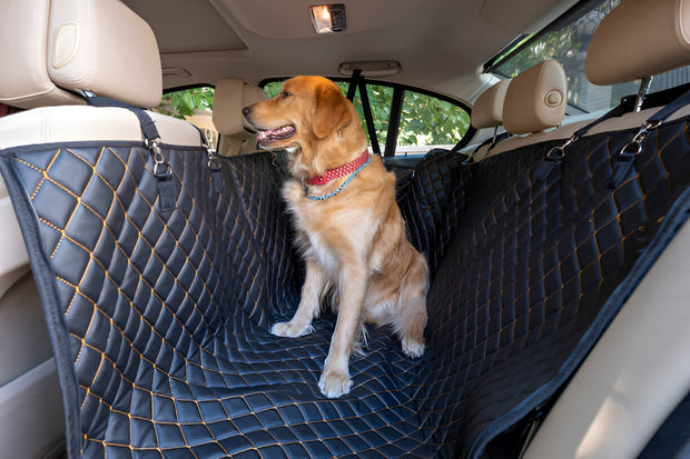 Back Seat Extender for Dogs